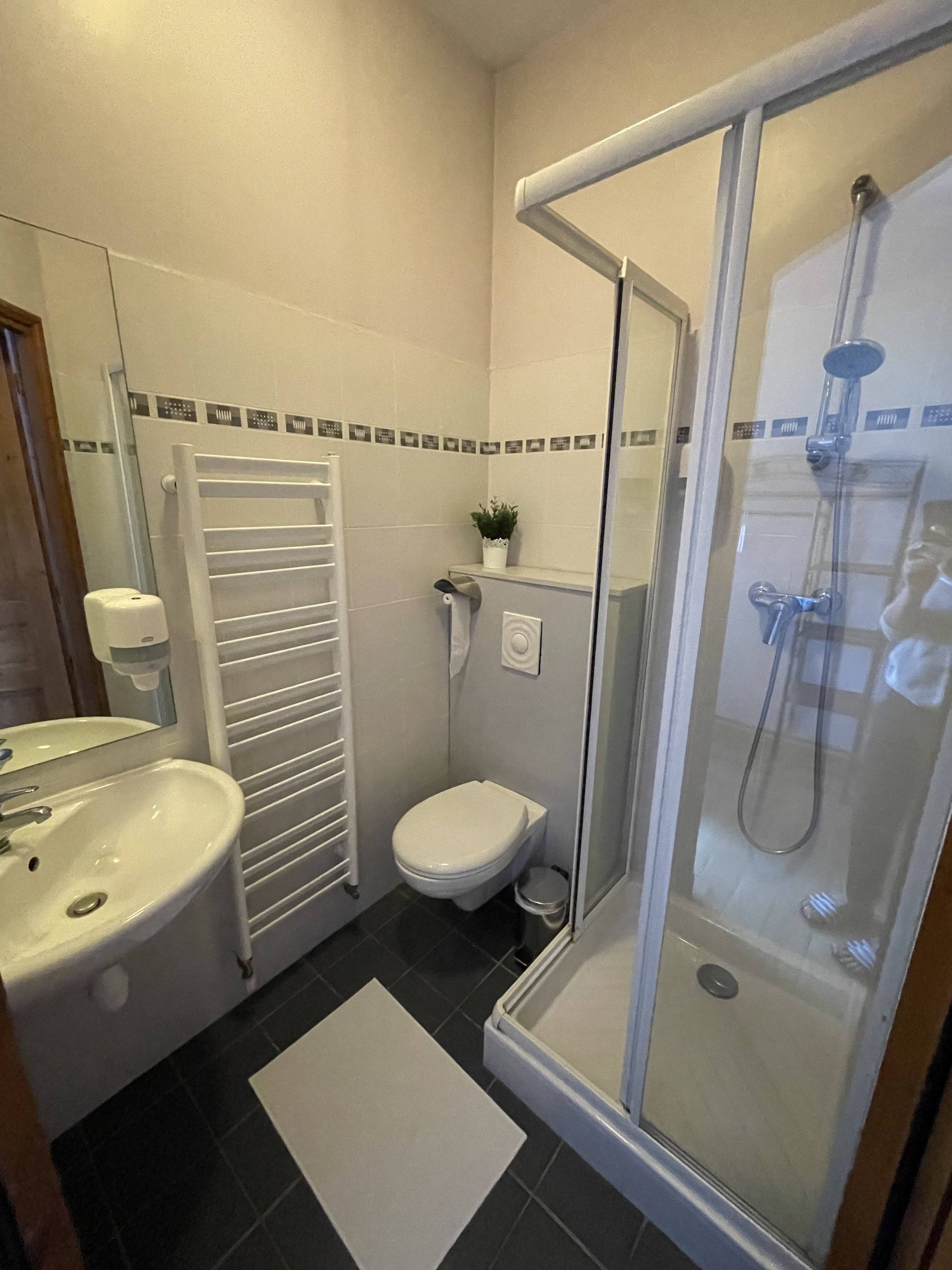Salle de bain avec douche et WC